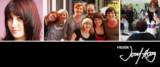 friseur hoog, trends 2010, ingolstadt