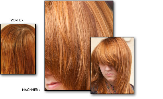 Farbtrends 2011, Josef Hoog, Ingolstadt