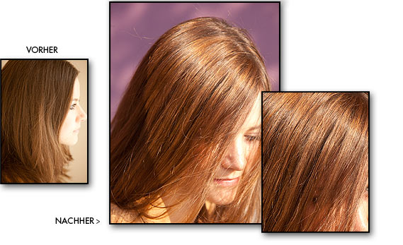 Farbtrends 2011, Josef Hoog, Ingolstadt