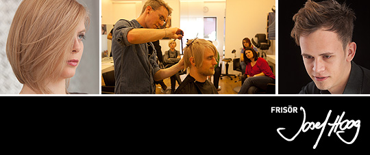 friseur hoog, trends 2010, ingolstadt