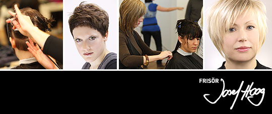 friseur hoog, trends 2010, ingolstadt